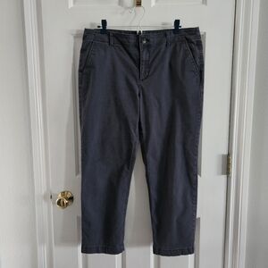 NWOT Ann Taylor LOFT Monroe Slim Chino Pants